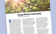 Energy-Efficient Landscaping